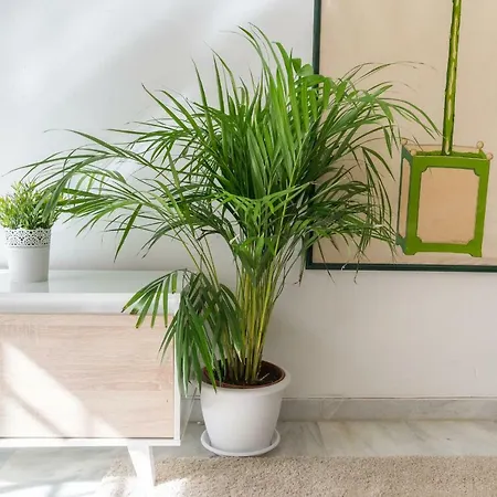 Ambc-very Quiet Steps Away From Old Town * Malaga