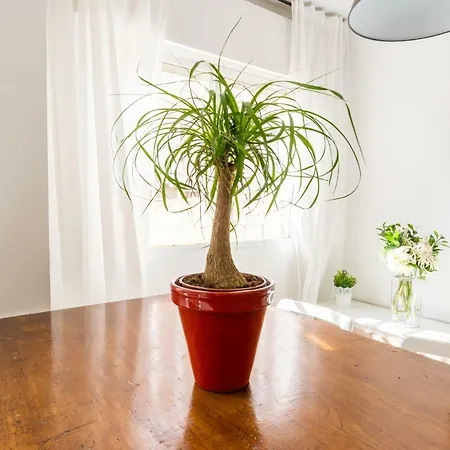 Ambc-very Quiet Steps Away From Old Town Apartment *